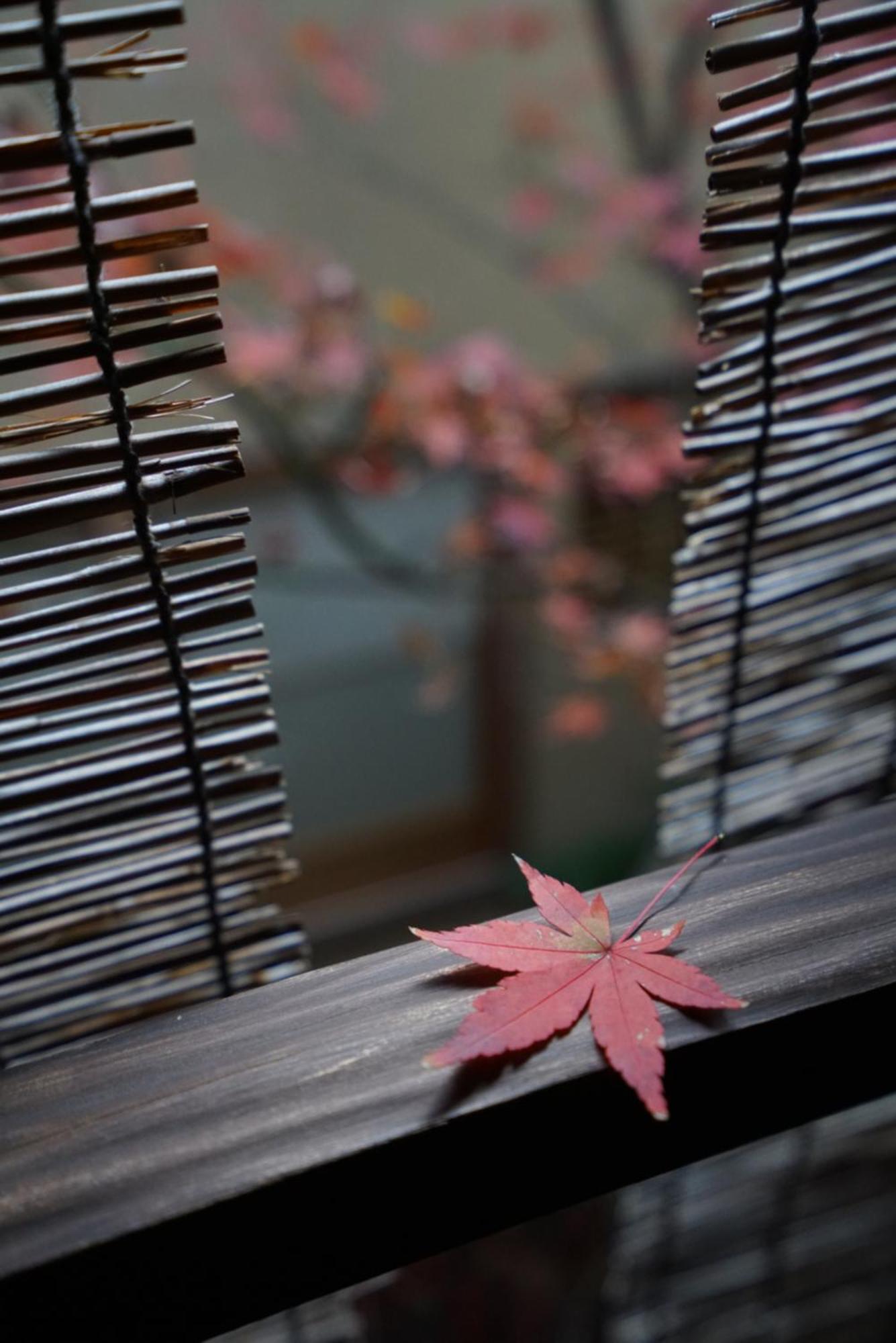 Ryokan Tori Kyoto Luaran gambar